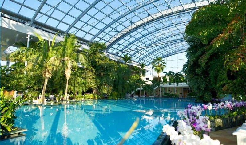 Bucharest: Therme București Entry Ticket with Transportation - Getting there from Bucharest: the express shuttle and pickup points