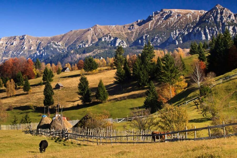 Bucharest:Dracula's Castle,''Wednesday''& Brasov Small Group - Bucharest Panoramic Tour: How the Day Connects Back to the Capital