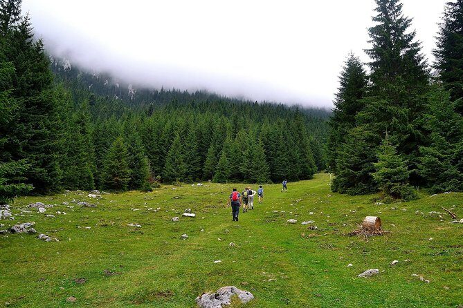 Carpathians in Romania: Piatra Craiului National Park with native Spanish guide. - Why Piatra Craiului feels worth your time