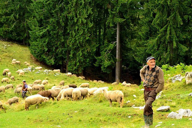 Carpathians in Romania: Piatra Craiului National Park with native Spanish guide. - Stories with a native Spanish guide: Romania’s legends on the trail