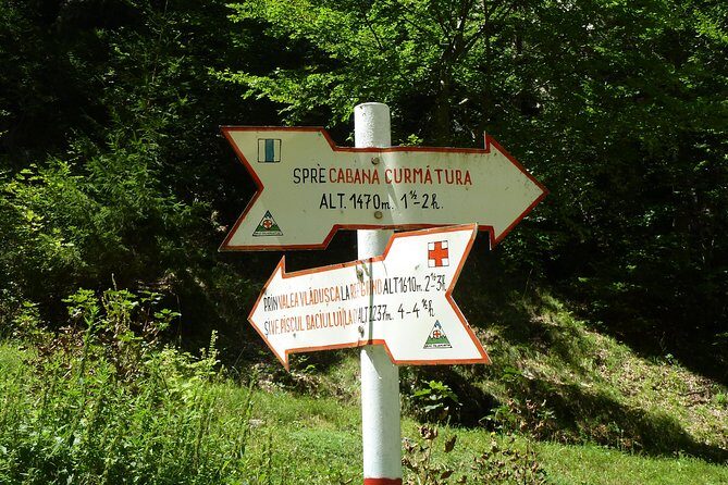 Carpathians in Romania: Piatra Craiului National Park with native Spanish guide. - Duration, timing, and pacing that keeps the day fun