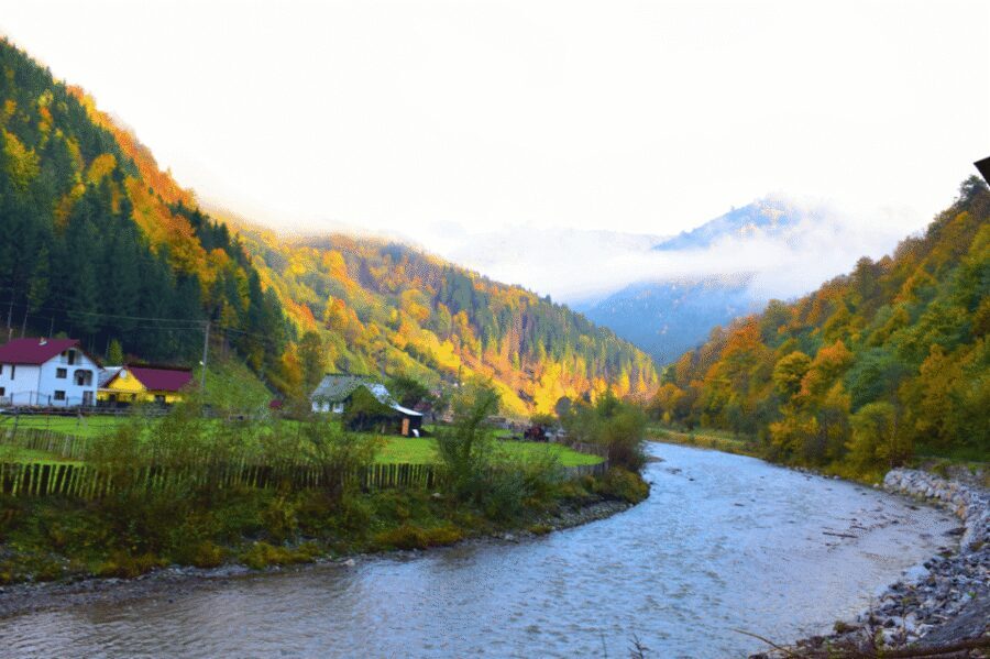 CJ03 - Day trip to Maramures Mocanita Train from Cluj Napoca - Maramureș traditions: wooden villages, gates, and why the forest mattered