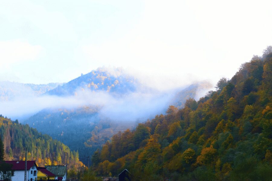 CJ03 - Day trip to Maramures Mocanita Train from Cluj Napoca - Reviews you should read with the right expectations
