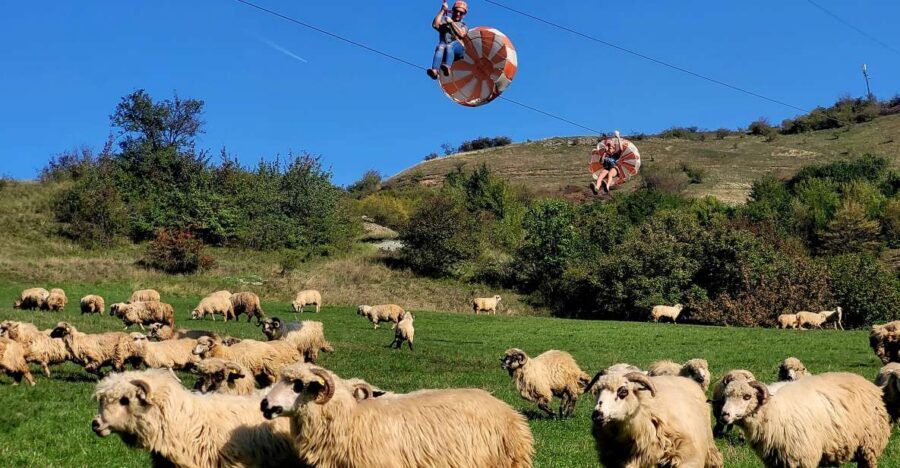 Cluj: Outdoor Activities Day Trip with Zip Line and Hike - Key highlights you should know