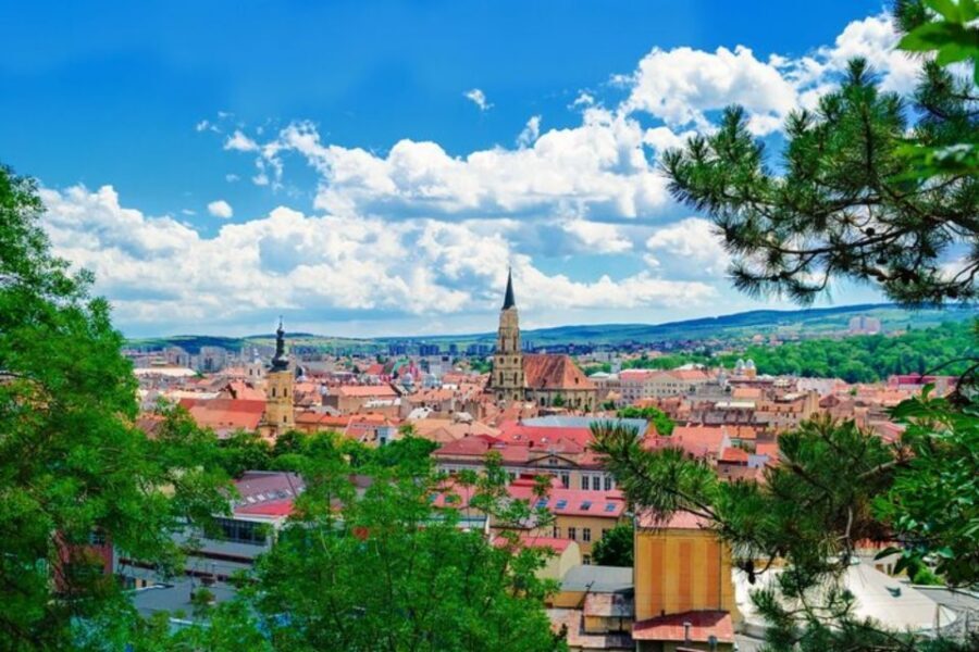 Cluj : Private Walking Tour with A Guide ( Private Tour ) - Where museum time fits: how to add it without wasting a day