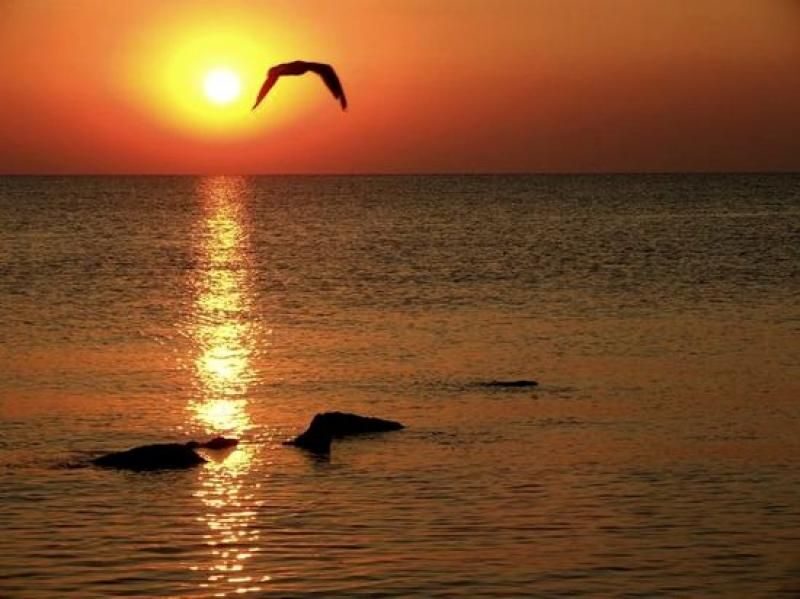 Constanta: Full Day Tour from Bucharest to the Black Sea - Museum of Archeology and History Constanta: where the city’s layers show