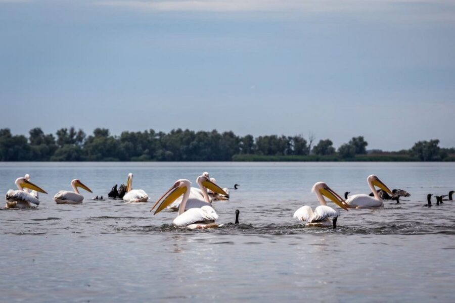 Danube Delta - 2-Day Tour from Bucharest - What your night in the Danube Delta really does for your schedule