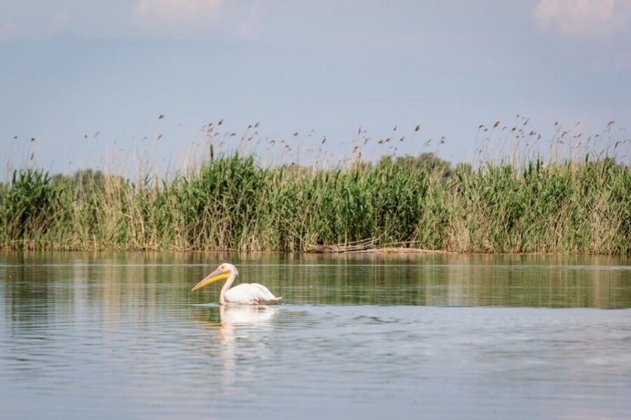 Danube Delta - 2-Day Tour from Bucharest - Your guide can make the difference: Narcis and Gabriel as examples