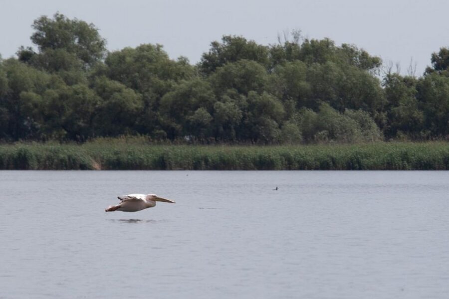 Danube Delta - 2-Day Tour from Bucharest - Who should book this tour (and who might want to think twice)
