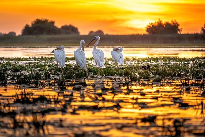 Danube Delta and Black See - 2 Days Private Tour from Bucharest - Guides and pace: what makes this tour feel smooth
