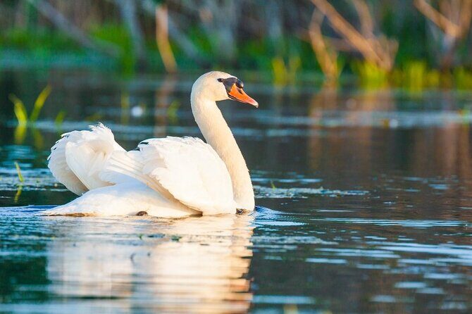 Danube Delta and Black See - 2 Days Private Tour from Bucharest - Practical tips to get better photos, better comfort, and fewer regrets