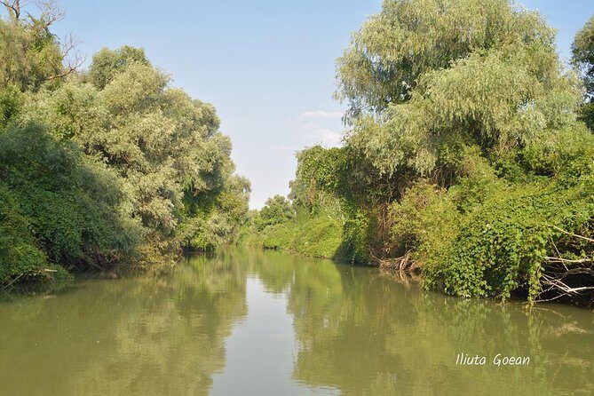 Danube Delta PRIVATE boat trip to Mila23 Village (guided tour) - Key Things You’ll Notice on This Danube Delta to Mila 23 Day