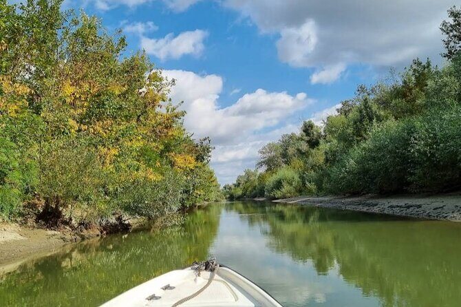 Danube Delta -Small group Tour- Boat Trip & Traditional Lunch - The 4-hour boat cruise: where you’ll spend your attention