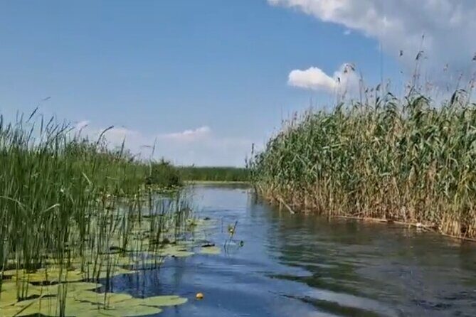 Danube Delta -Small group Tour- Boat Trip & Traditional Lunch - Tulcea: the gateway city that explains the Delta
