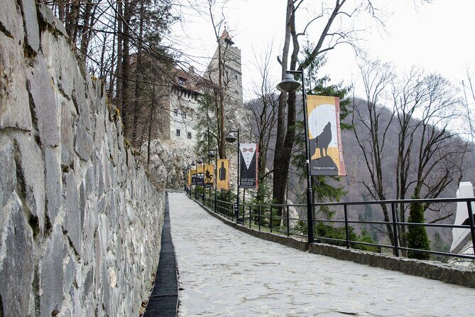 Day Trip Bear Sanctuary, Bran Castle, Rasnov Fortress from Brasov - How This Brasov Day Trip Runs in a Tight 6½ Hours