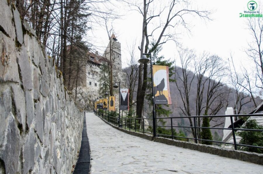 Day trip Bran Castle, Rasnov Fortress and Bear Sanctuary - Key highlights worth your attention