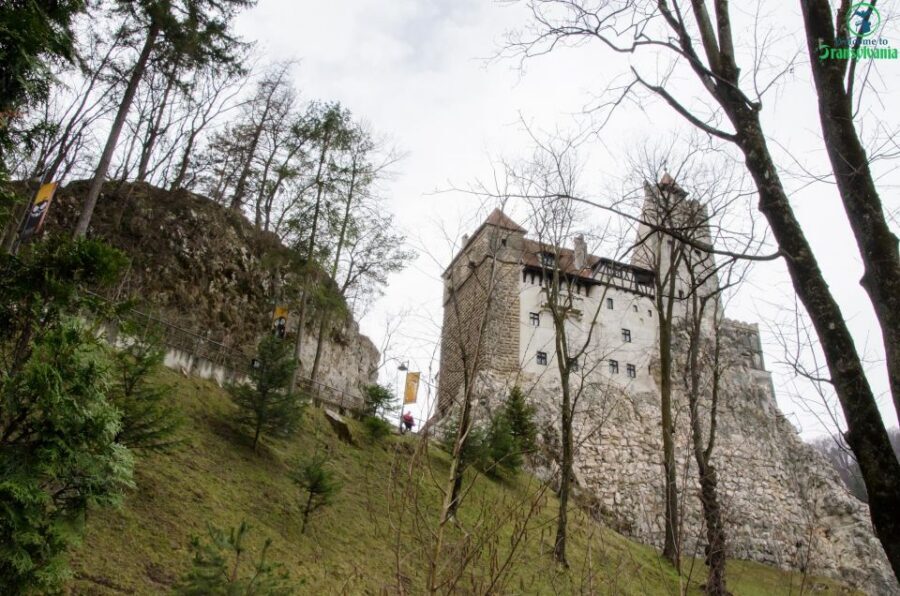 Day trip Bran Castle, Rasnov Fortress and Bear Sanctuary - LiBEARty Bear Sanctuary in Zărnești: the welfare-first stop