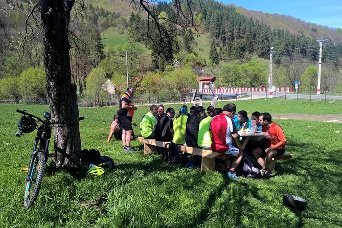 Day trip from Brasov: Bison reserve & traditional lunch - Price and value: is $218.84 per person fair?