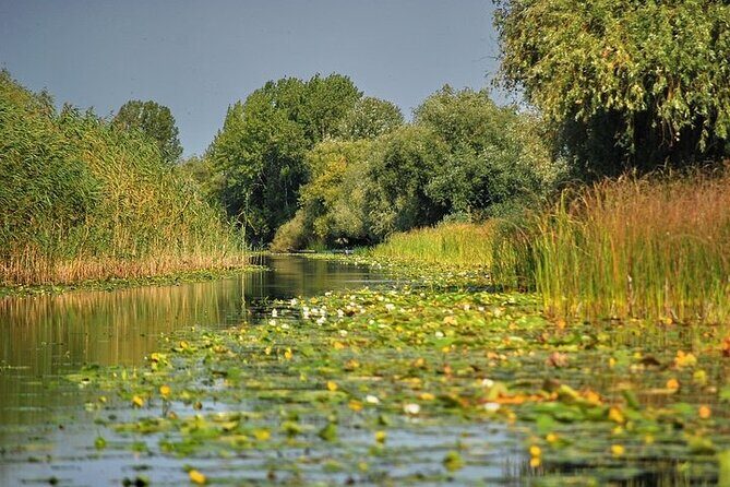 Day Trip from Bucharest to Danube Delta - Danube Delta Day Trip: What You’re Really Buying