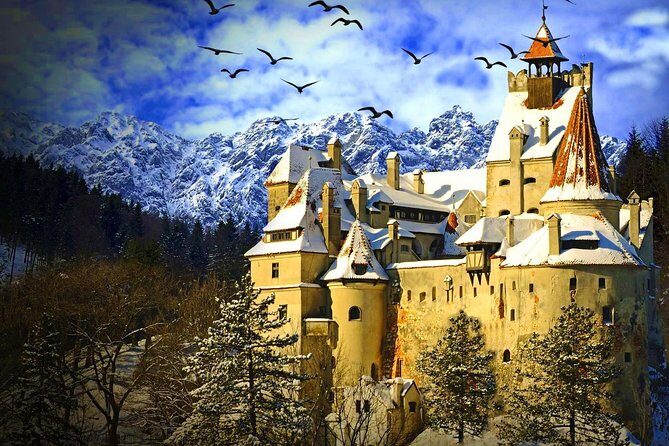 Discover Transylvania: Dracula, Peles Castle, Brasov Private Tour - A One-Day Transylvania Hit List From Bucharest