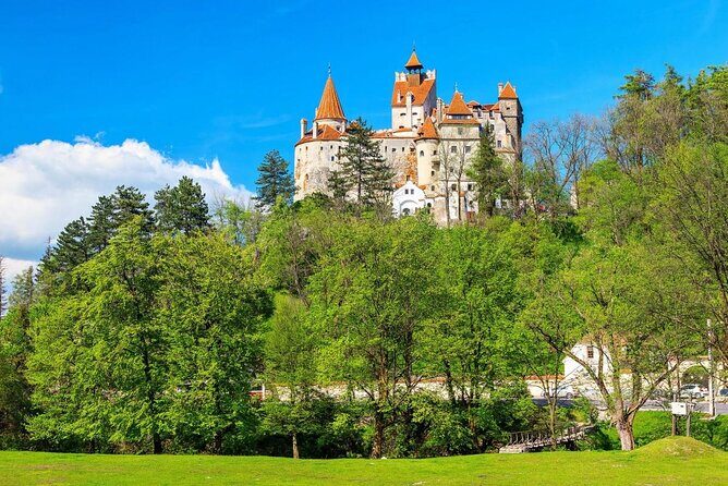 Dracula Private Tour - Key highlights at a glance