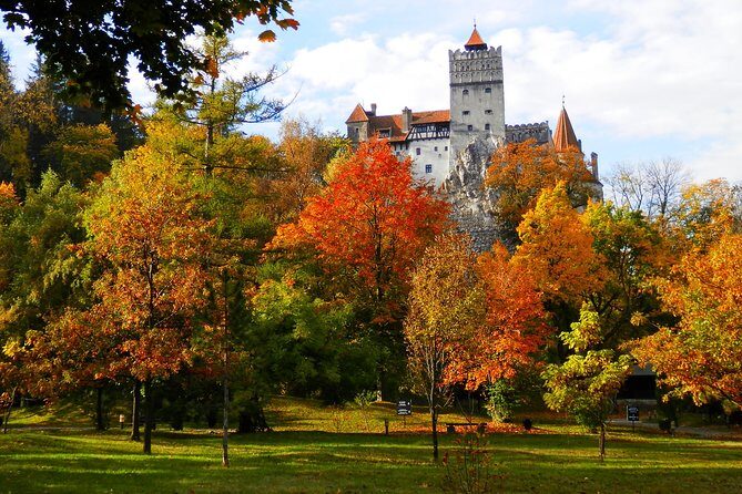 Dracula's Castle & Peles Palace Tour from Bucharest Including Brasov Old Town - A castles-and-old-town day that keeps your stress low