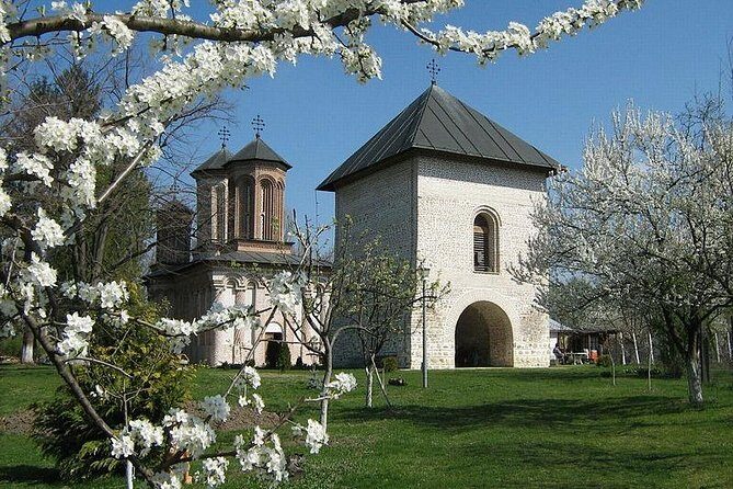 Dracula's Tomb and Mogosoaia Palace, Private Tour from Bucharest - Lake Snagov: the calm, deep-water side of the story