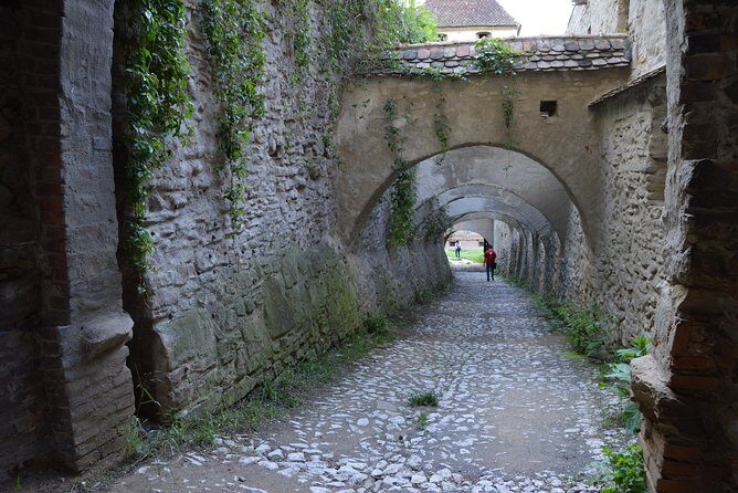 Exclusive tour: Sighisoara, Medias and Biertan tour from Sibiu - Timing and pacing: how 6–8 hours stays fun instead of exhausting