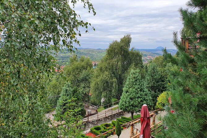Executive Dracula Day Trip - See Bran & Peles Castle, Brasov from Bucharest - Who should book this Dracula-style itinerary?