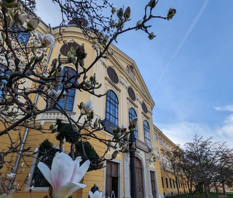 Food, Wine And Sightseeing Tour in Oradea, Romania - Downtown Wine Tasting Hour: Local Producers, Real Choices