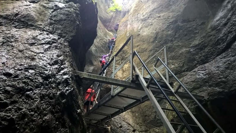From Brasov: Day Trip to the Seven Ladders Canyon - First Mile: The 15-Minute Ride and the Forest Warm-Up