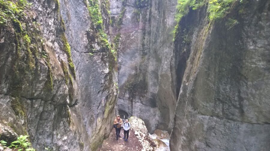 From Brasov: Day Trip to the Seven Ladders Canyon - Your Return Walk: Alternative Trail Through the Forest
