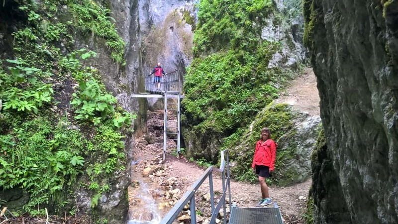 From Brasov: Day Trip to the Seven Ladders Canyon - What’s Included, What’s Not, and What You Should Plan For