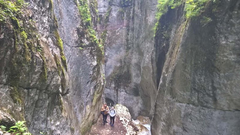 From Brasov: Day Trip to the Seven Ladders Canyon - What to Bring (and What Can Get You Turned Away)