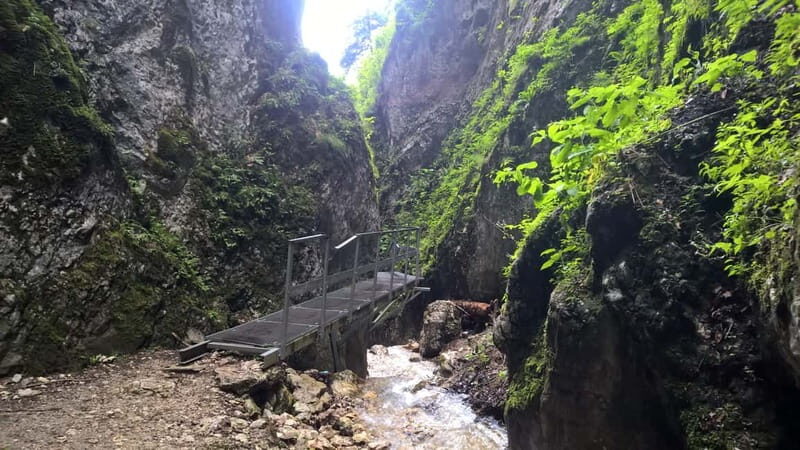From Brasov: Day Trip to the Seven Ladders Canyon - Who Should Do This Tour—and Who Should Skip It