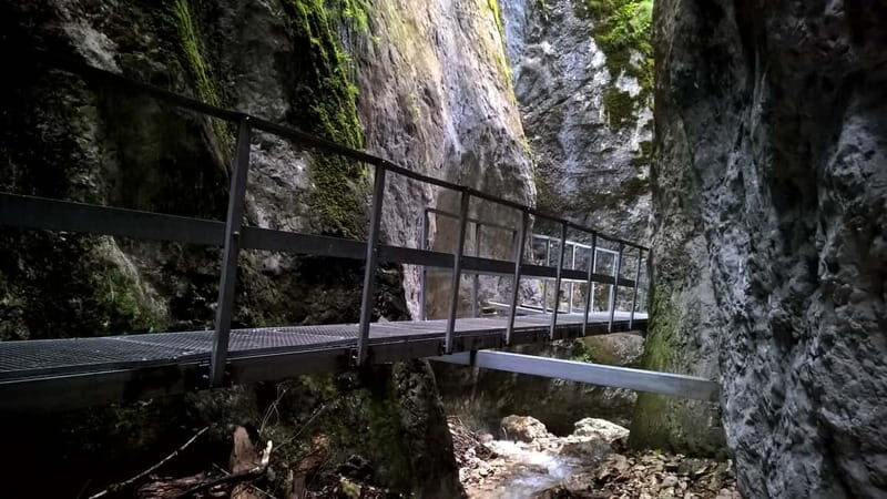 From Brasov: Day Trip to the Seven Ladders Canyon - Entering the Canyon: Metal Ladders, Bridges, and Waterfall Views