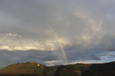From Brasov: Discover Bran Castle and Rasnov Fortress - Mountain views and story timing with a licensed English guide