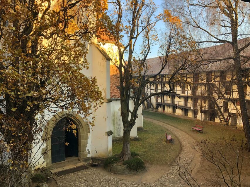 From Brasov: Small-Group Half-Day Fortified Churches Tour - Fortified Churches Near Brasov: Why the Walls Are the Main Character