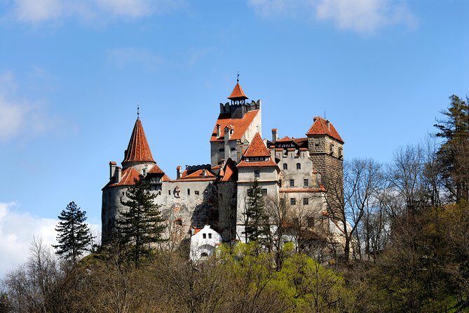 From Brasov: Small-group tour Bran, Rasnov, and Peles Castles - Peleș and Pelișor: where the day’s craftsmanship really hits