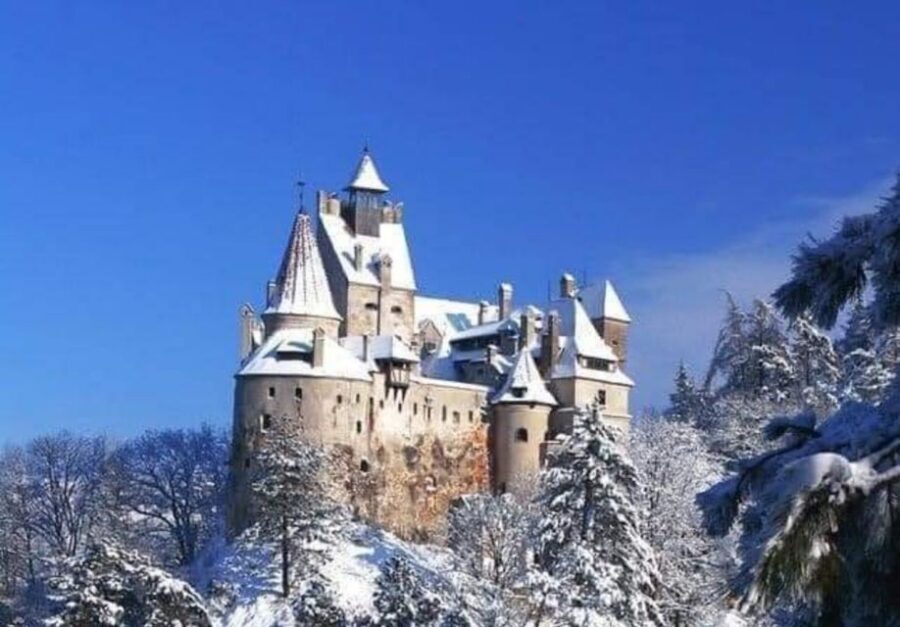 From Bucharest: 2-Day Tour to Brasov and Sighisoara - Key highlights worth centering your trip on