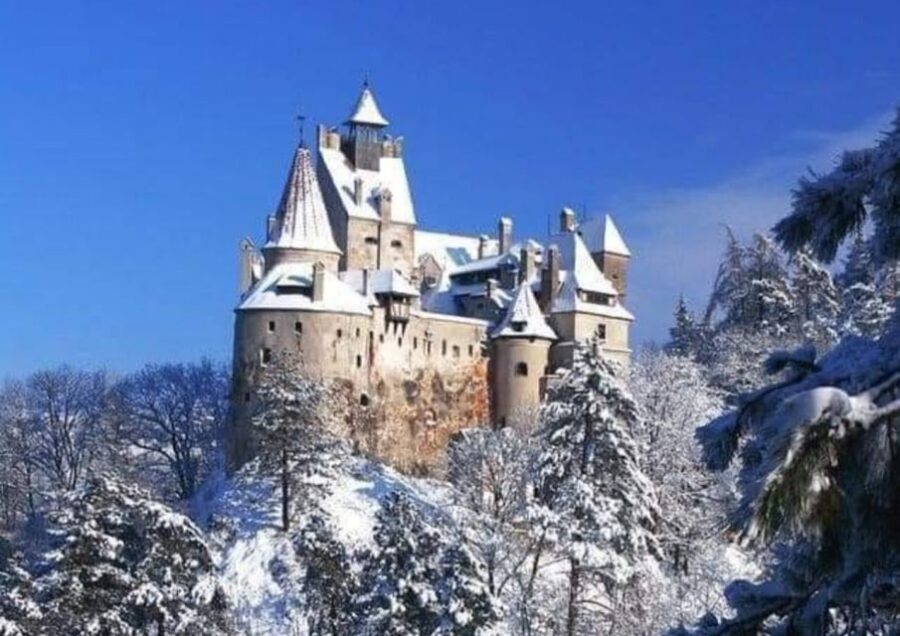 From Bucharest: 2-Day Tour to Brasov and Sighisoara - Bran Castle: the iconic stop where legend meets fortifications