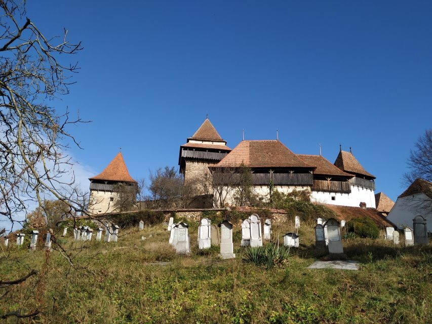 From Bucharest: 2-Day Tour to Brasov and Sighisoara - Your guide experience: Alina, Mimi, and Marius set the tone