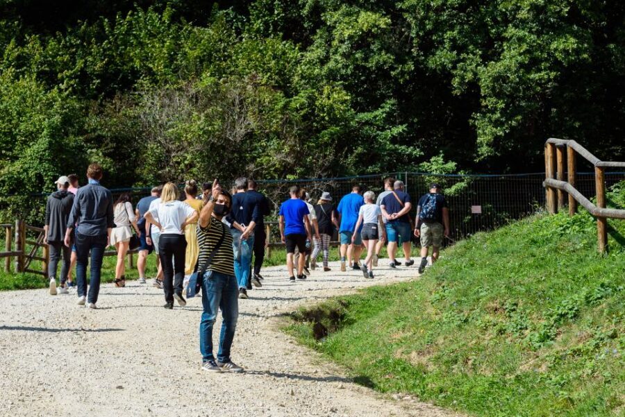 From Bucharest: Bear Sanctuary and Dracula Castle Day Tour - Bucharest Pickup to Carpathian Roads: What the “8 hours” feels like