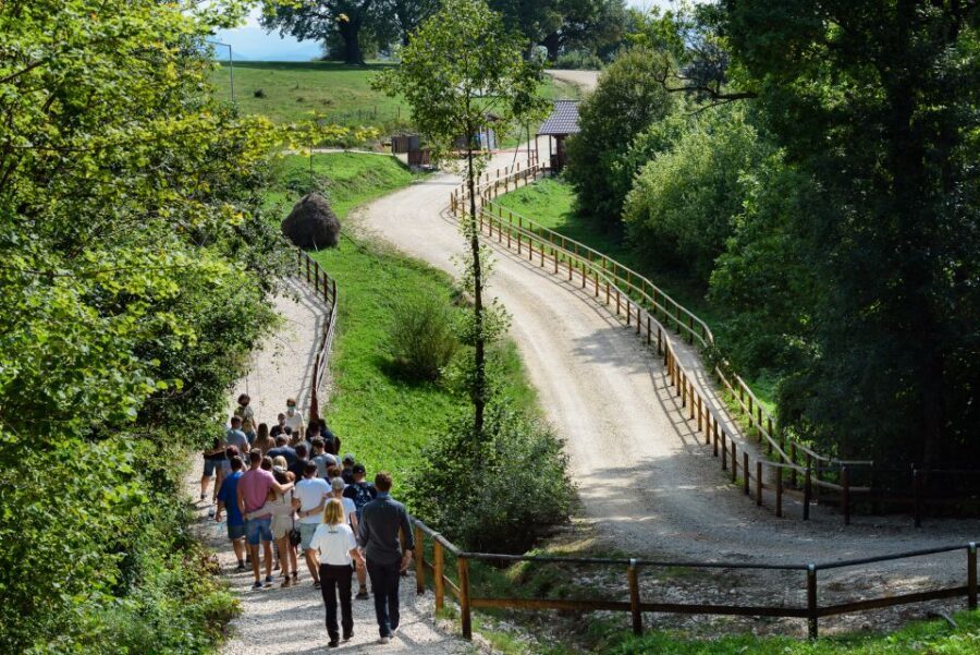 From Bucharest: Bear Sanctuary and Dracula Castle Day Tour - Guide quality is part of the product here