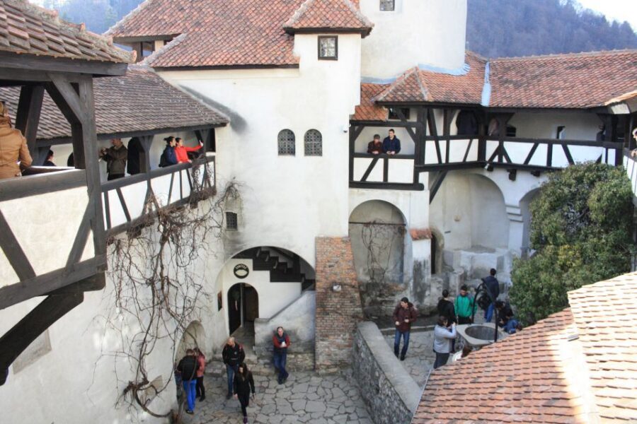 From Bucharest: Bear Sanctuary and Dracula Castle Day Tour - Who should book, and who should skip
