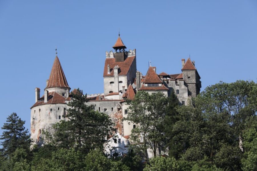 From Bucharest: Bear Sanctuary and Dracula Castle Day Tour - Should you book this Bucharest to bear sanctuary and Bran Castle tour?
