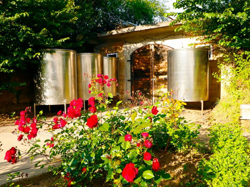 From Bucharest: Exclusive Dealu Mare Wine Tasting Tour - Practical Tips for a Smoother Dealu Mare Wine Day