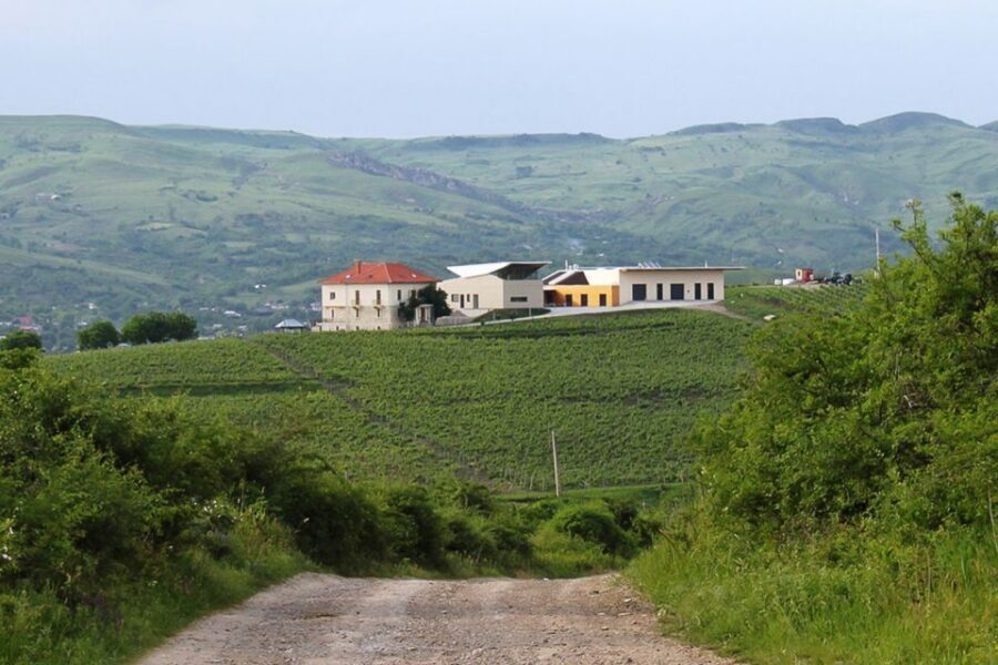 From Bucharest: Exclusive Dealu Mare Wine Tasting Tour - Lacerta Winery: Gravity-Driven Modern Craft and Six Paired Tastings