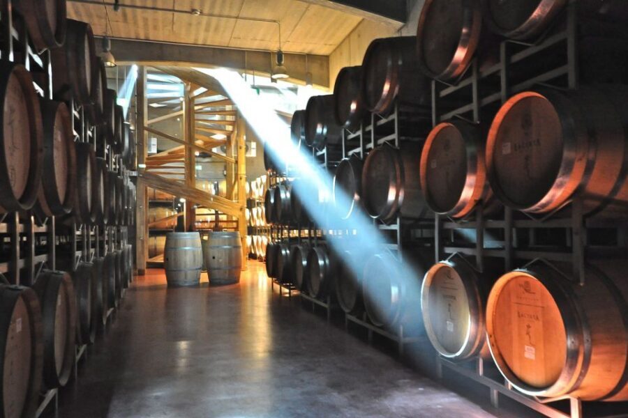 From Bucharest: Exclusive Dealu Mare Wine Tasting Tour - 1000 Chipuri Winery: Family-Run Feel, Plus Tasting from Barrels or Tanks