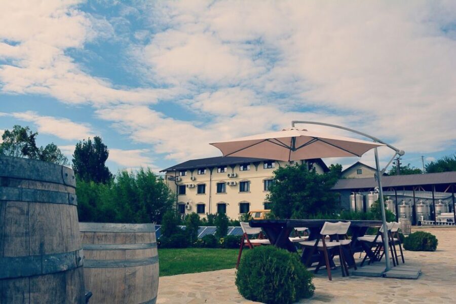 From Bucharest: Exclusive Dealu Mare Wine Tasting Tour - History You Can Sip: Dacians, Royal Wine, Communist Production, and the Post-1989 Revival